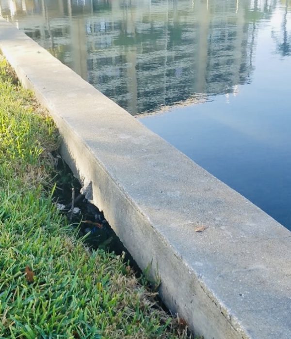 Concrete seawall next to green grass along the water with a reflection of a condo in the water